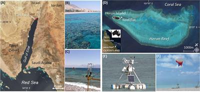 Coral Reef Coupling to the Atmospheric Boundary Layer Through Exchanges of Heat, Moisture, and Momentum: Case Studies From Tropical and Desert Fringing Coral Reefs